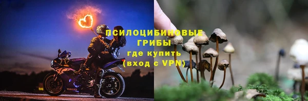 герыч Бородино