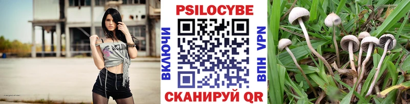 Галлюциногенные грибы Psilocybine cubensis  Балашиха 